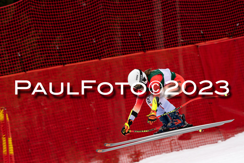 NJC + FIS, Super-G, Damen , 17.02.2023