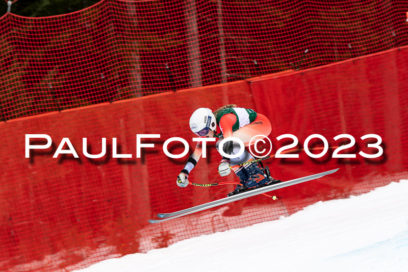 NJC + FIS, Super-G, Damen , 17.02.2023