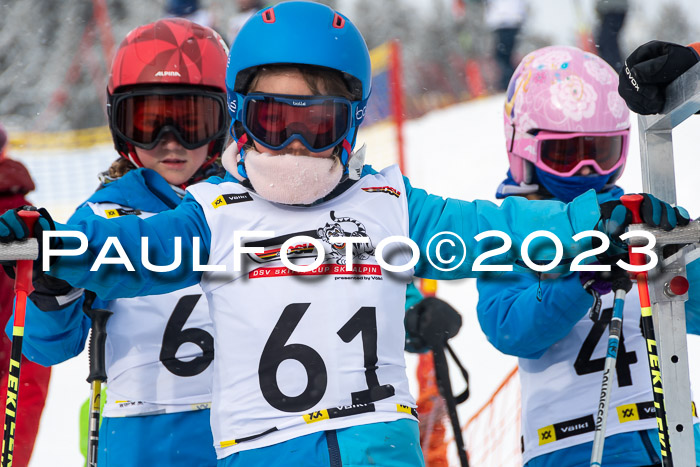 DSV Skitty Cup Alpin, 26.02.2026
