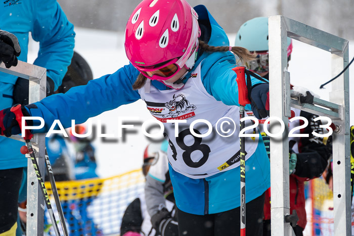 DSV Skitty Cup Alpin, 26.02.2026