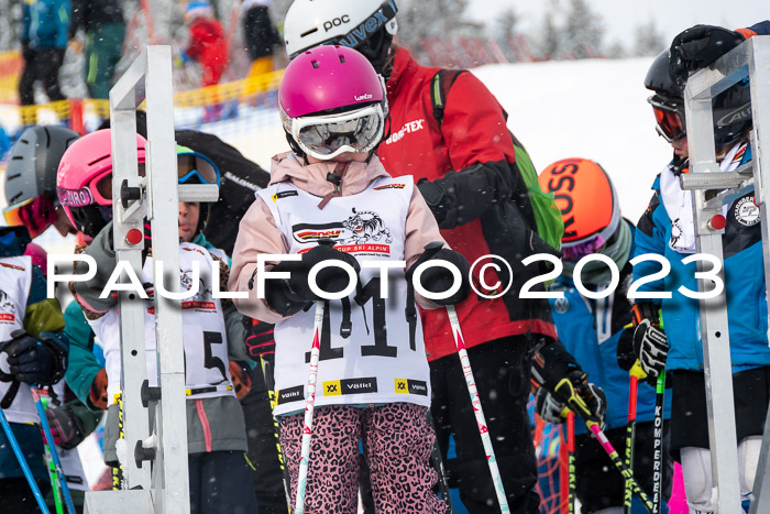 DSV Skitty Cup Alpin, 26.02.2026