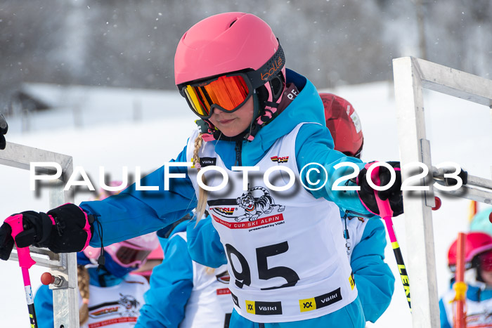 DSV Skitty Cup Alpin, 26.02.2026