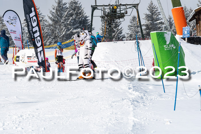 DSV Skitty Cup Alpin, 26.02.2026