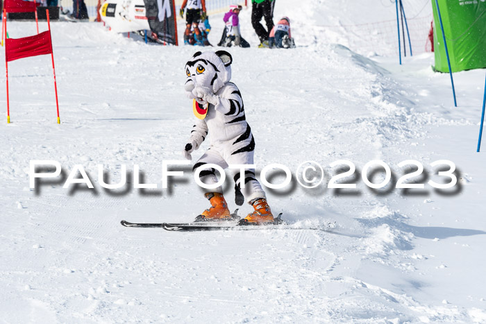 DSV Skitty Cup Alpin, 26.02.2026
