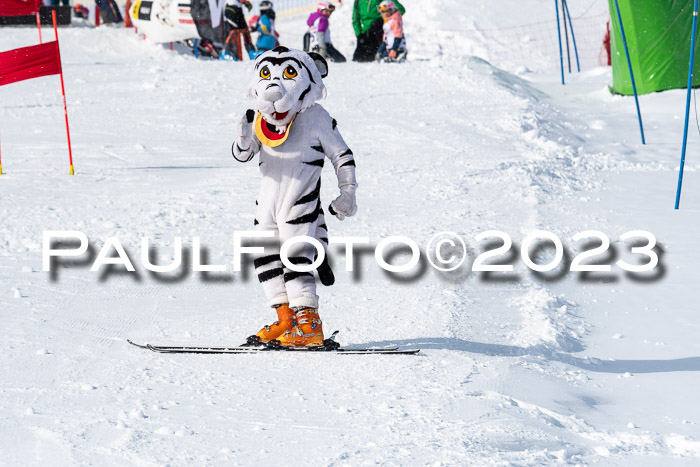 DSV Skitty Cup Alpin, 26.02.2026