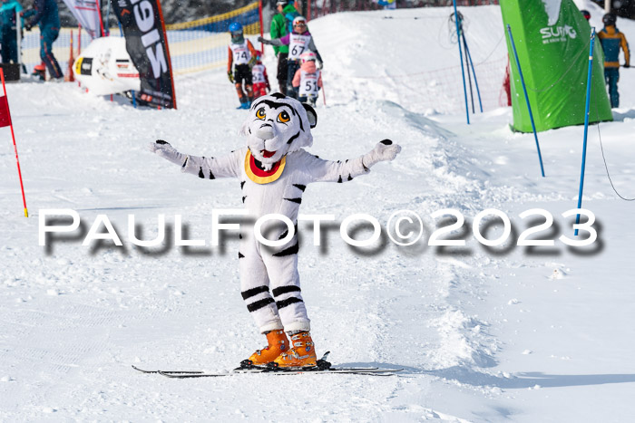 DSV Skitty Cup Alpin, 26.02.2026