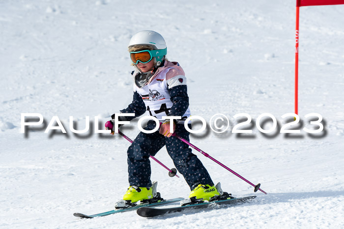 DSV Skitty Cup Alpin, 26.02.2026