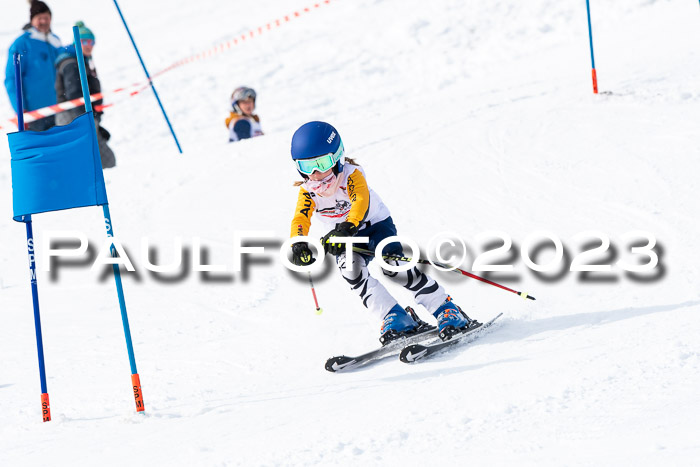DSV Skitty Cup Alpin, 26.02.2026