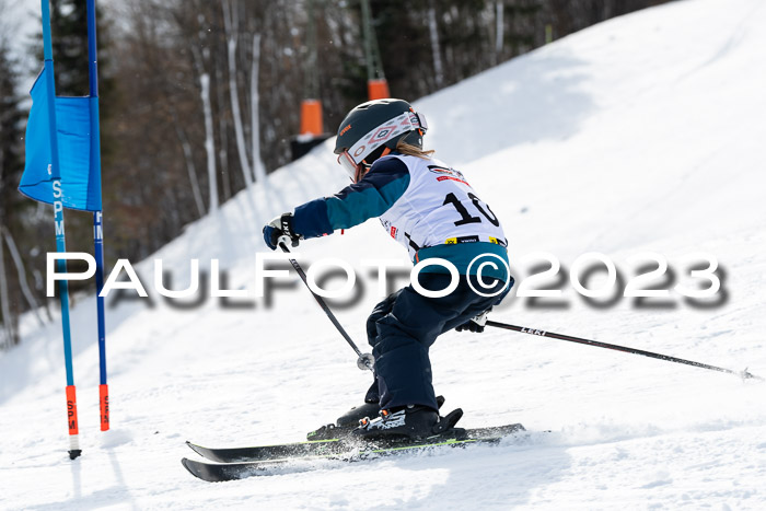 DSV Skitty Cup Alpin, 26.02.2026
