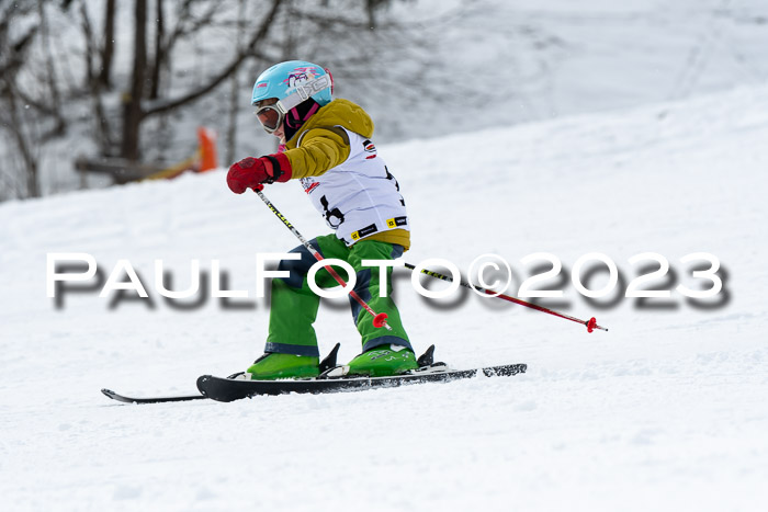 DSV Skitty Cup Alpin, 26.02.2026