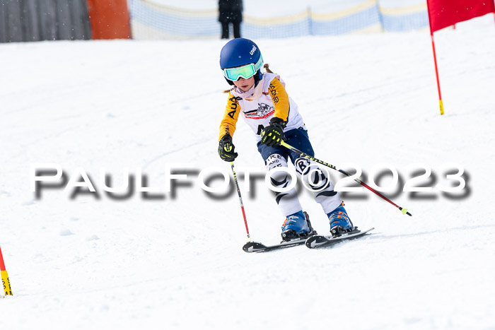 DSV Skitty Cup Alpin, 26.02.2026