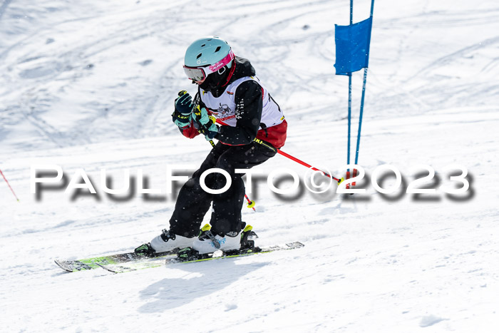 DSV Skitty Cup Alpin, 26.02.2026