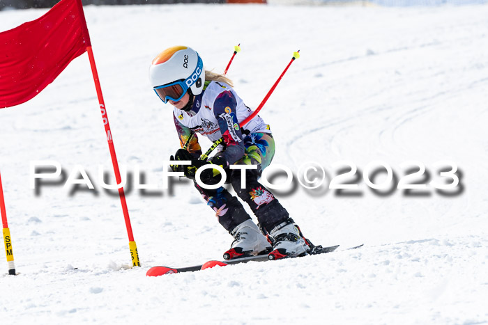 DSV Skitty Cup Alpin, 26.02.2026