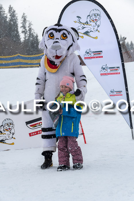 DSV Skitty Cup Alpin, 26.02.2026
