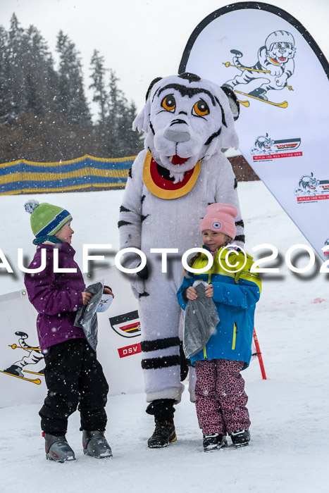 DSV Skitty Cup Alpin, 26.02.2026