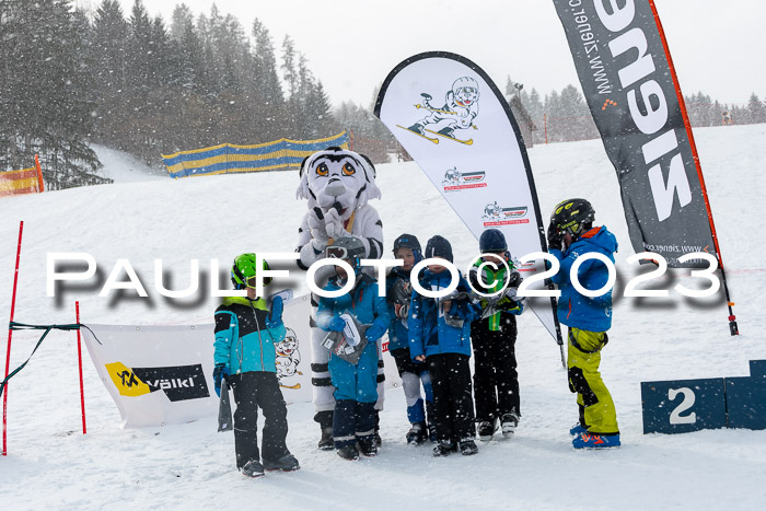 DSV Skitty Cup Alpin, 26.02.2026