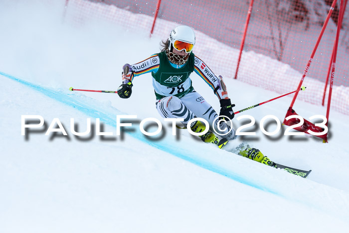 FIS Riesenslalom Damen + Herren, Kandahar, 02.03.2023