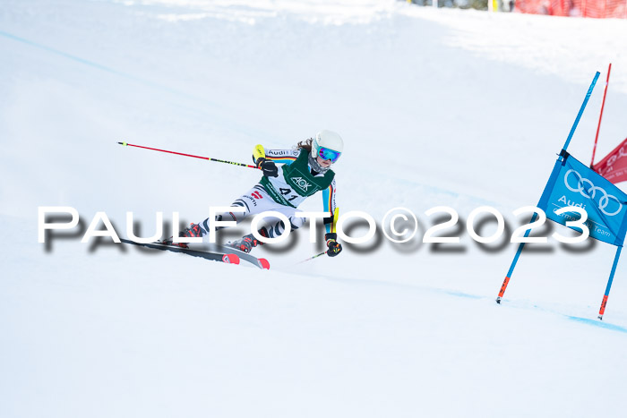 FIS Riesenslalom Damen + Herren, Kandahar, 02.03.2023