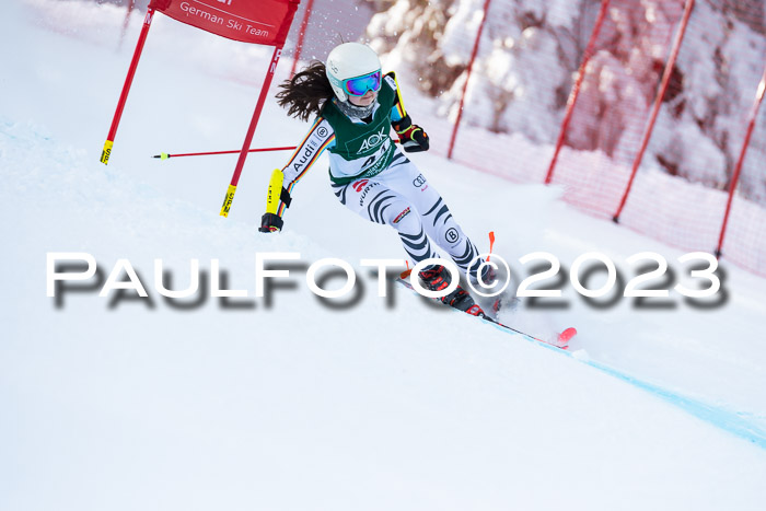 FIS Riesenslalom Damen + Herren, Kandahar, 02.03.2023