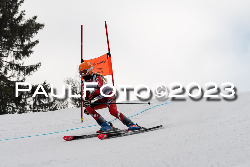 6. BZB CUP RS + Werdenfelser Meistersachaft  05.03.2023