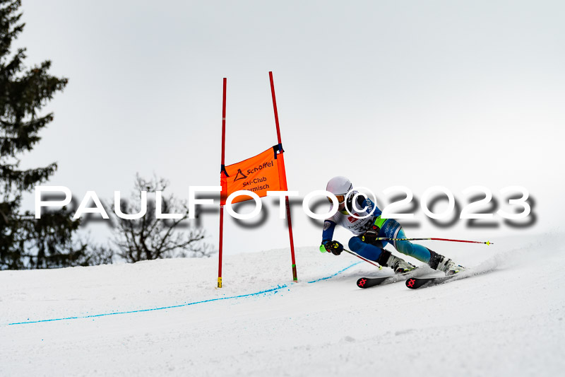 6. BZB CUP RS + Werdenfelser Meistersachaft  05.03.2023