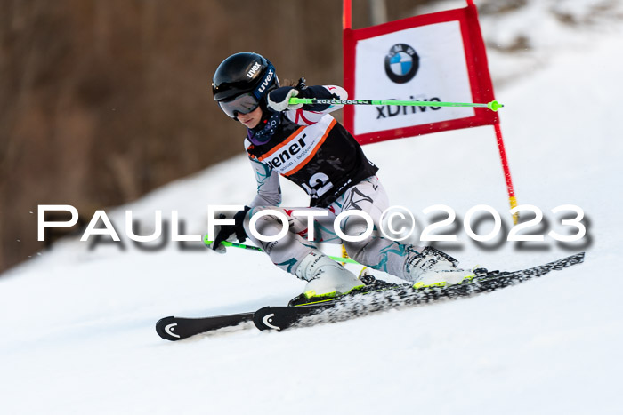 7. Ziener Cup WF 08.03.2023 PSL