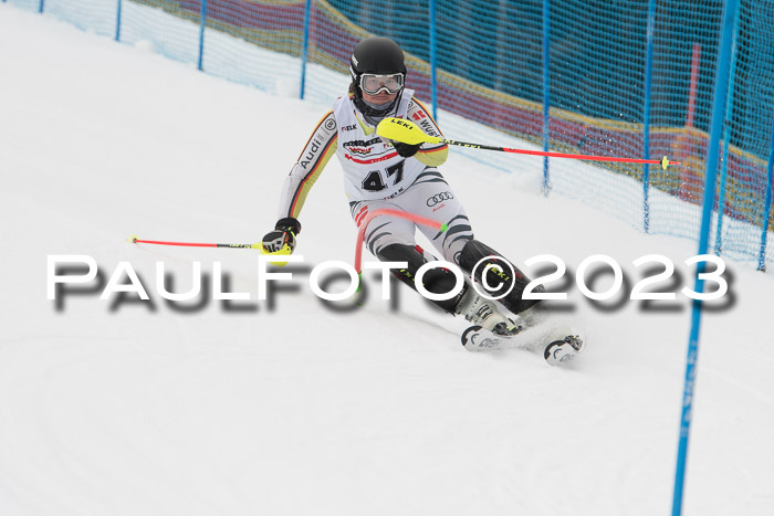 DSV - ELK Schülercup Finale U14 SL, 11.03.2023
