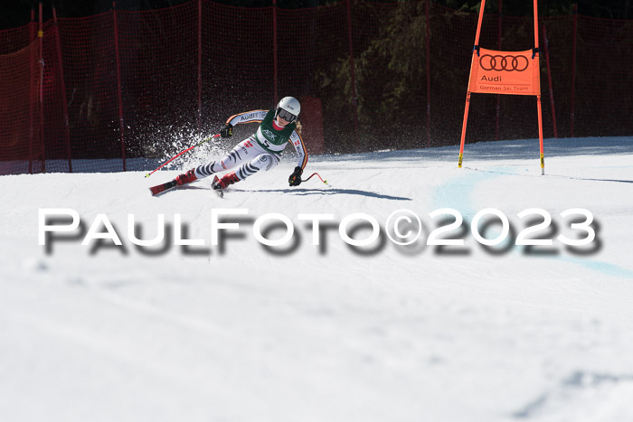 NC DH Training und Rennen Herren, Kandahar 22.03.2023