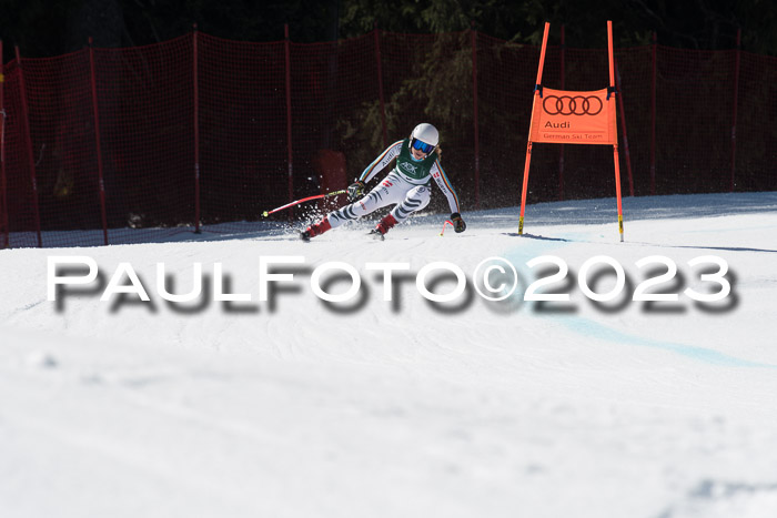 NC DH Training und Rennen Herren, Kandahar 22.03.2023