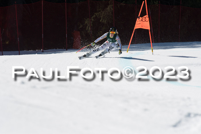 NC DH Training und Rennen Herren, Kandahar 22.03.2023