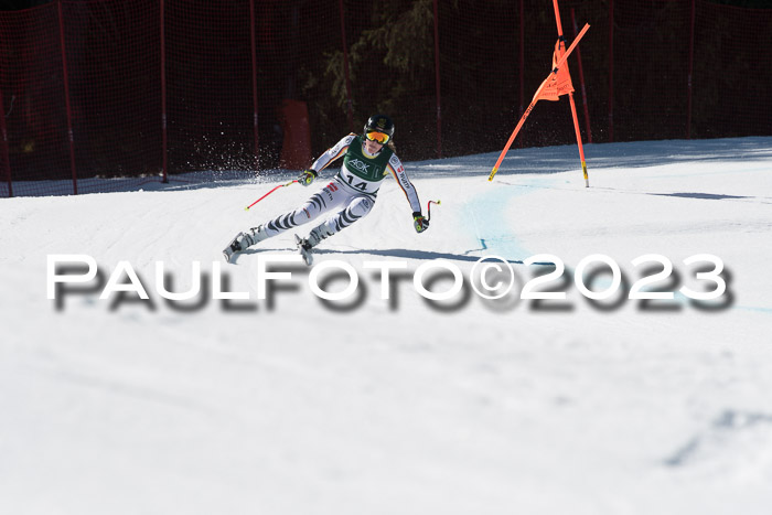 NC DH Training und Rennen Herren, Kandahar 22.03.2023
