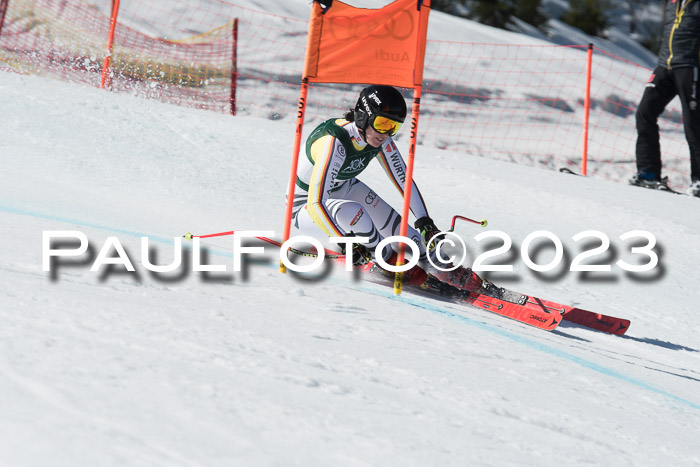NC DH Training und Rennen Herren, Kandahar 22.03.2023