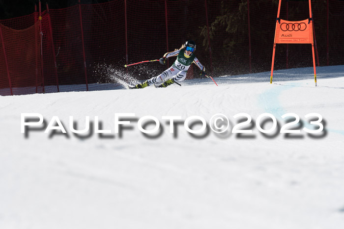 NC DH Training und Rennen Herren, Kandahar 22.03.2023