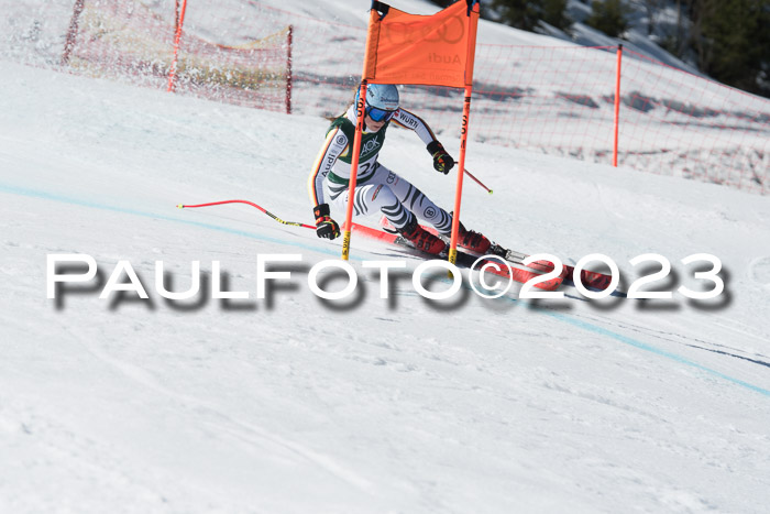 NC DH Training und Rennen Herren, Kandahar 22.03.2023