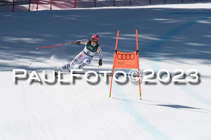 NC DH Training und Rennen Herren, Kandahar 22.03.2023