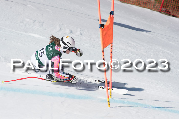 NC DH Training und Rennen Herren, Kandahar 22.03.2023