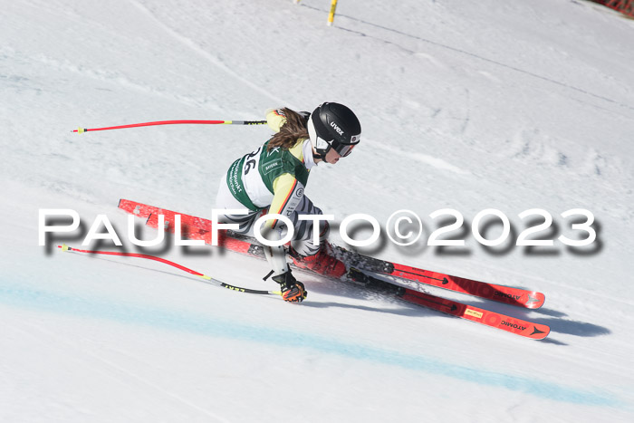 NC DH Training und Rennen Herren, Kandahar 22.03.2023