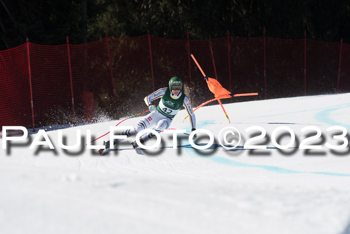 NC DH Training und Rennen Herren, Kandahar 22.03.2023
