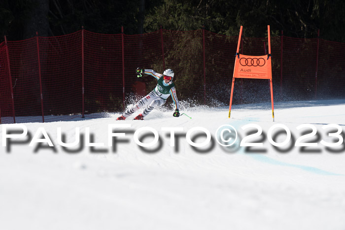 NC DH Training und Rennen Herren, Kandahar 22.03.2023