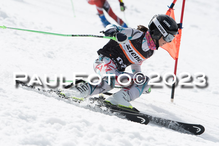 Finale Ziener Cup 2023