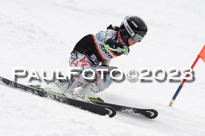 Finale Ziener Cup 2023