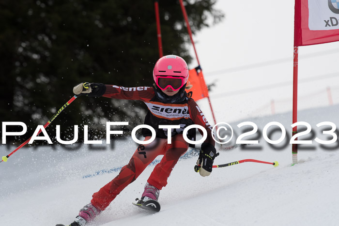 Finale Ziener Cup 2023