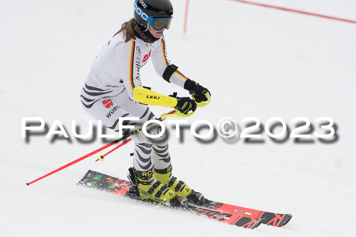 Parallel Slalom Trögllift 2023