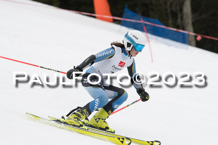 Parallel Slalom Trögllift 2023
