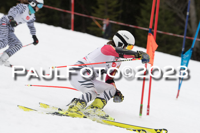 Parallel Slalom Trögllift 2023