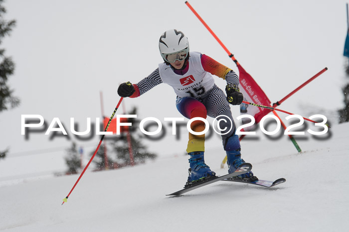 7. BZB Cup RS Trögllift 2023