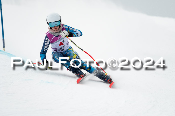 1. SVM Cup Willi-Wein-Gedächtnisrennen, RS, 05.01.2023