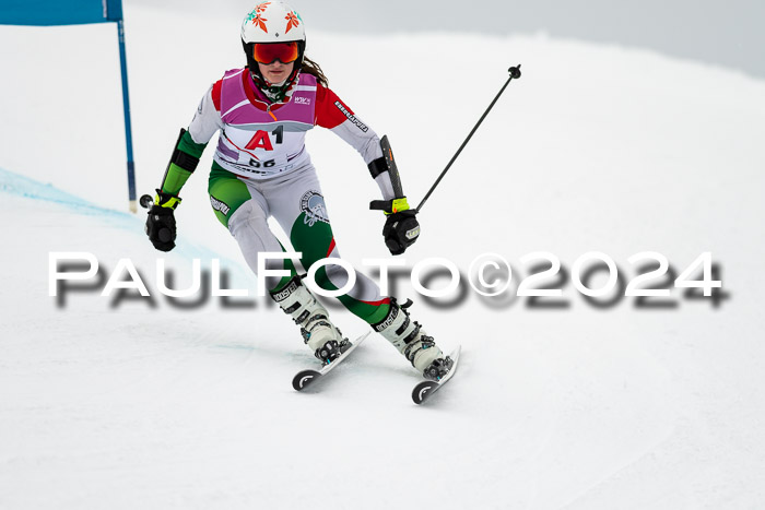 1. SVM Cup Willi-Wein-Gedächtnisrennen, RS, 05.01.2023