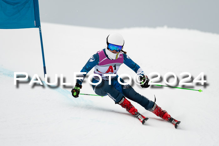 1. SVM Cup Willi-Wein-Gedächtnisrennen, RS, 05.01.2023