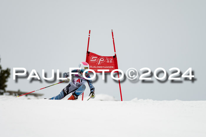 1. SVM Cup Willi-Wein-Gedächtnisrennen, RS, 05.01.2023